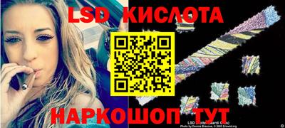 стаф Гатчина