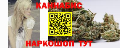 стаф Гатчина