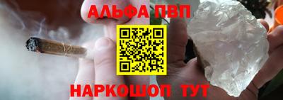 стаф Гатчина