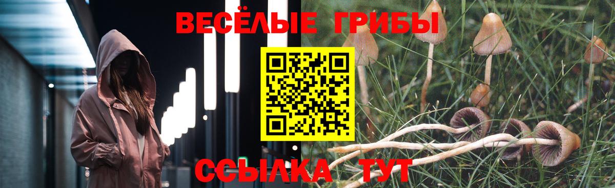 Галлюциногенные грибы Magic Shrooms  Вход с VPN  Надым 